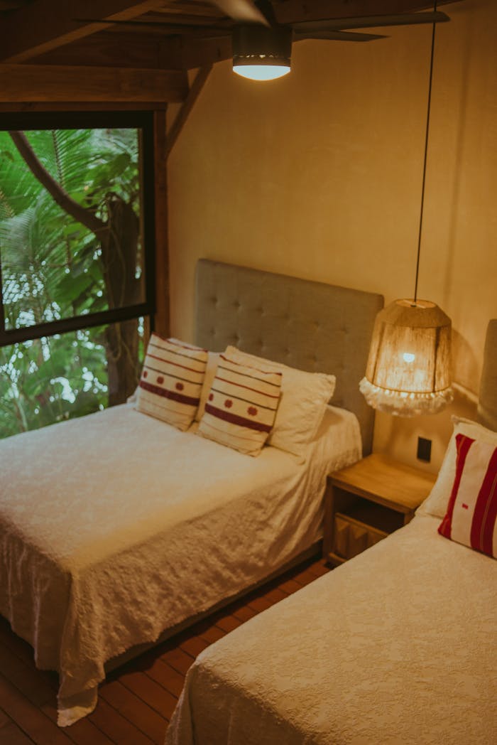 Hotel Room with the View of Tropical Vegetation Out the Window